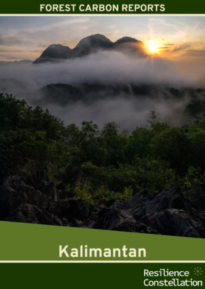 Forest Carbon Ratings - Kalimantan