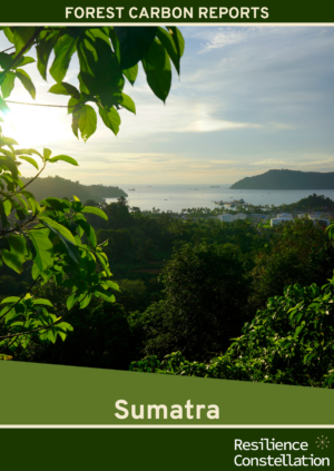 Forest Carbon Ratings - Sumatra