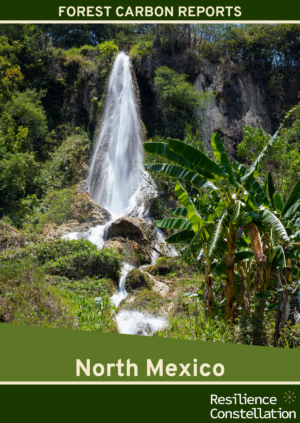 Forest Carbon Ratings - North Mexico