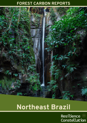 Forest Carbon Ratings - Northeast Brazil