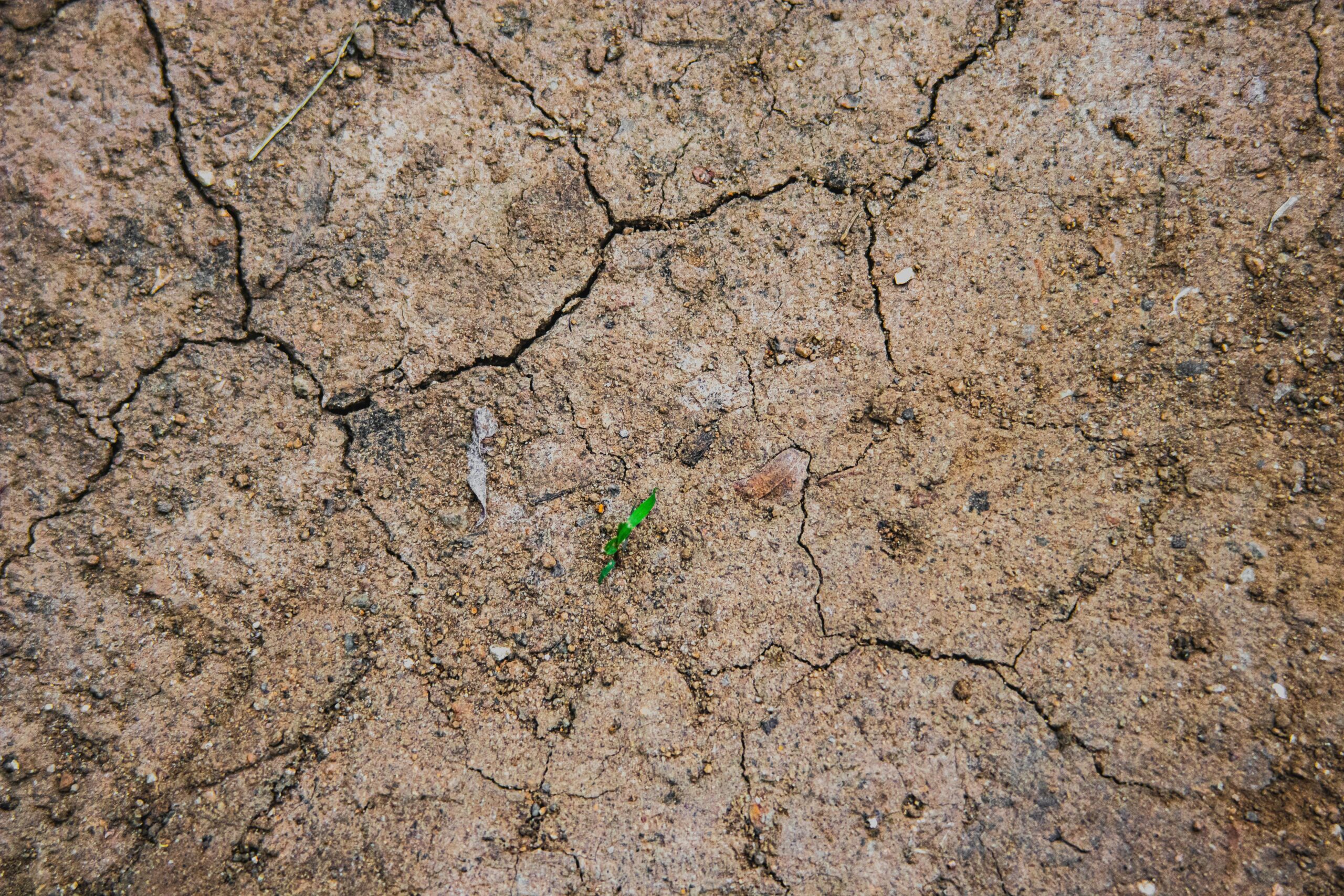 Resilience Constellation Questions the Adaptation Fund